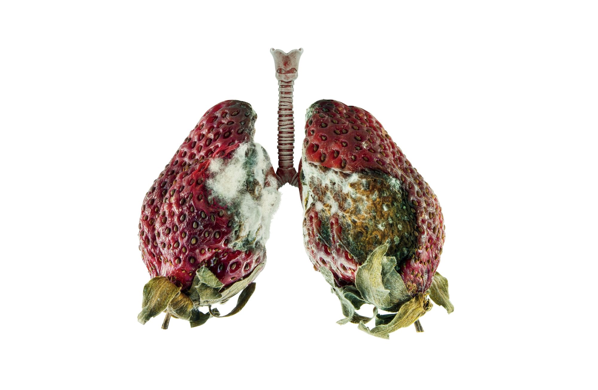 Propeg e governo do estado do Rio de Janeiro alertam para riscos do vape