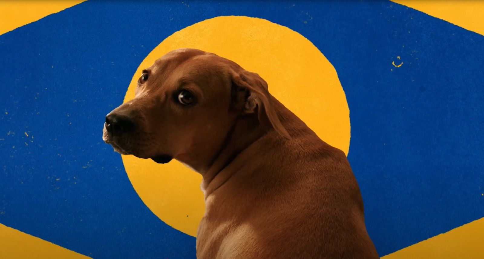 AlmapBBDO lidera indicações ao MMA Smarties Brasil 2025