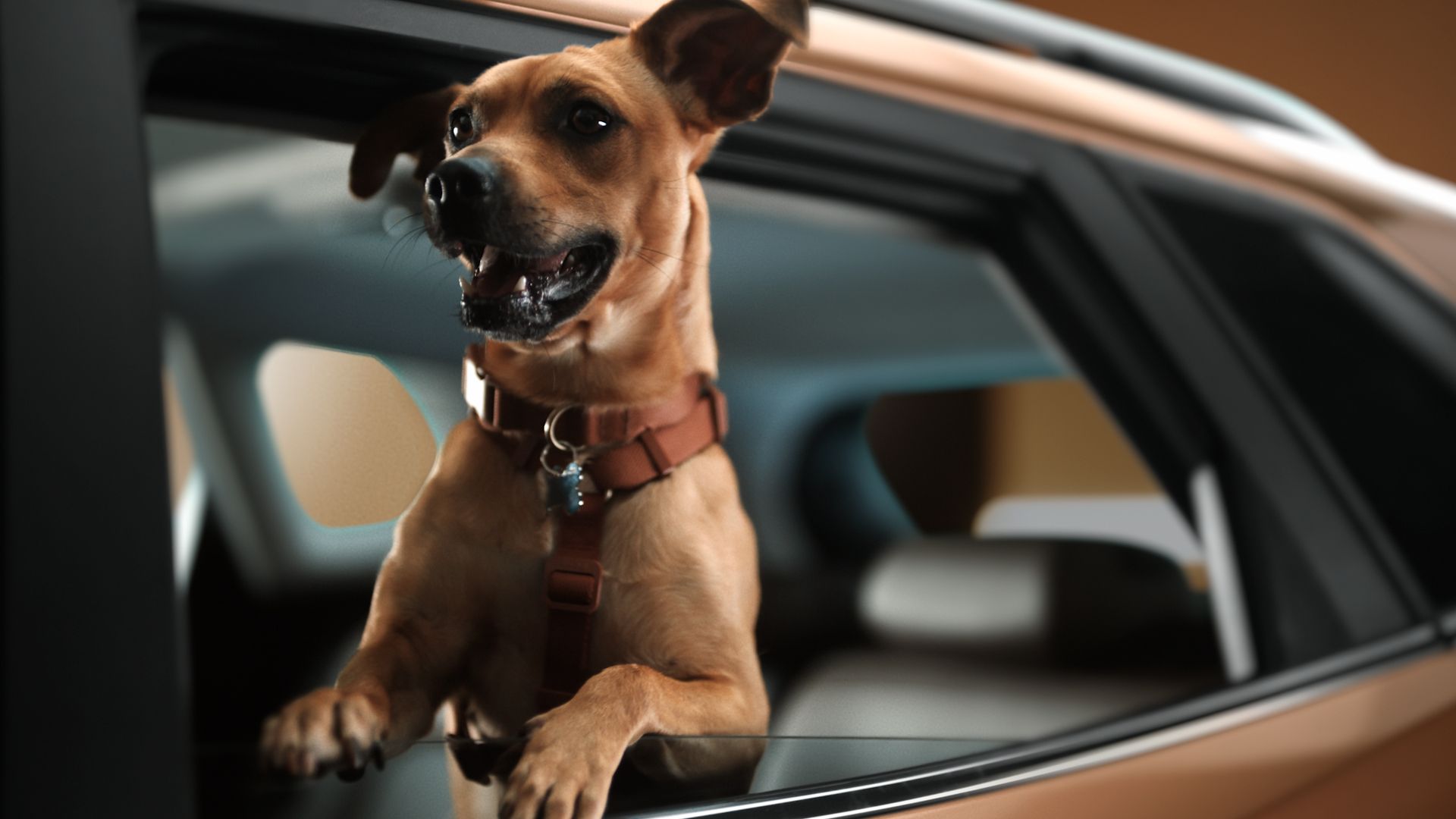 Inspirado no filme 'Caramelo', da Netflix, Chevrolet lança Tracker na cor dos cãezinhos