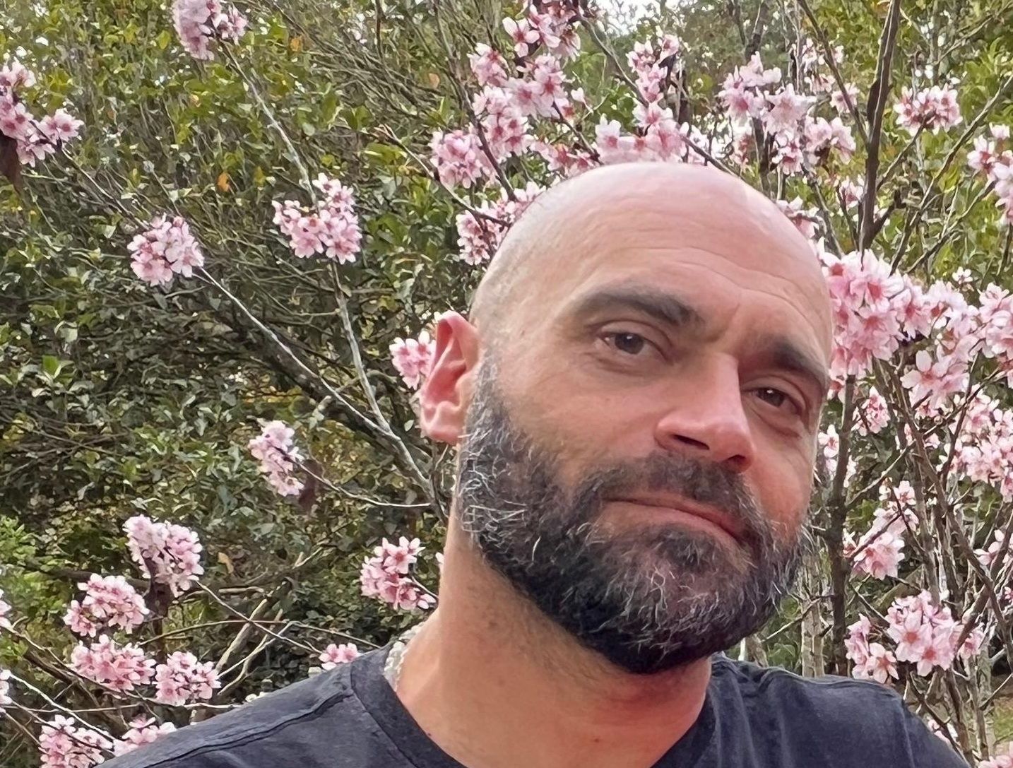 Quando ela aprendeu a ler, ele aprendeu a escrever