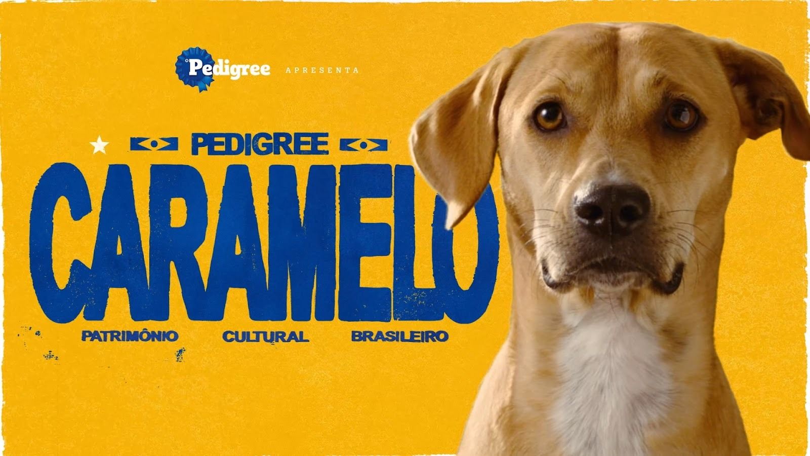 AlmapBBDO é a agência do ano no MMA Smarties Brasil 2025