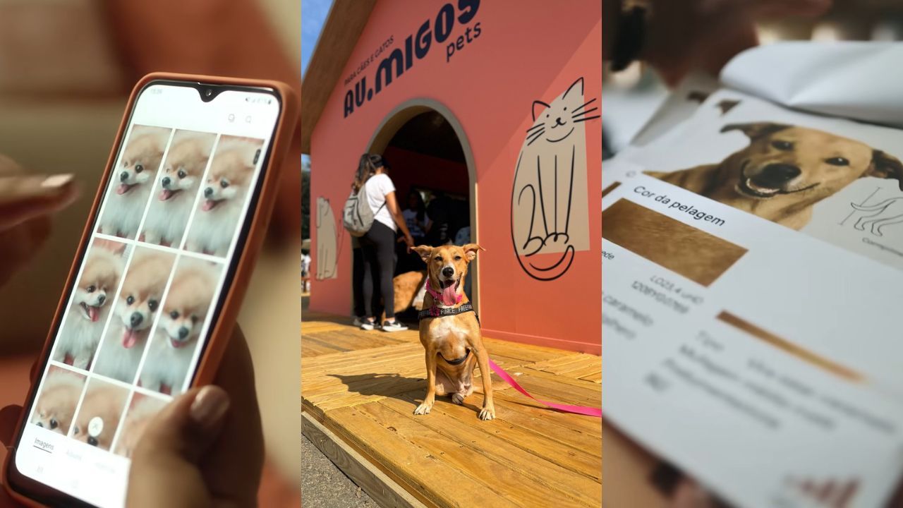 Mercado pet cresce e inspira novas narrativas na publicidade