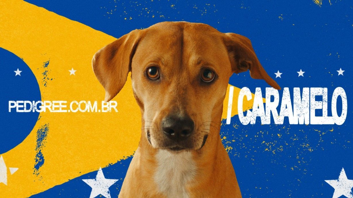 Brasil conquista 39 prêmios no segundo dia do El Ojo 2025