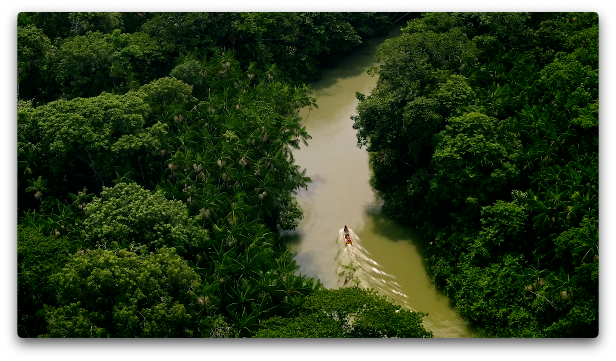 Vale encerra 2025 com campanha que defende proteção permanente da Amazônia