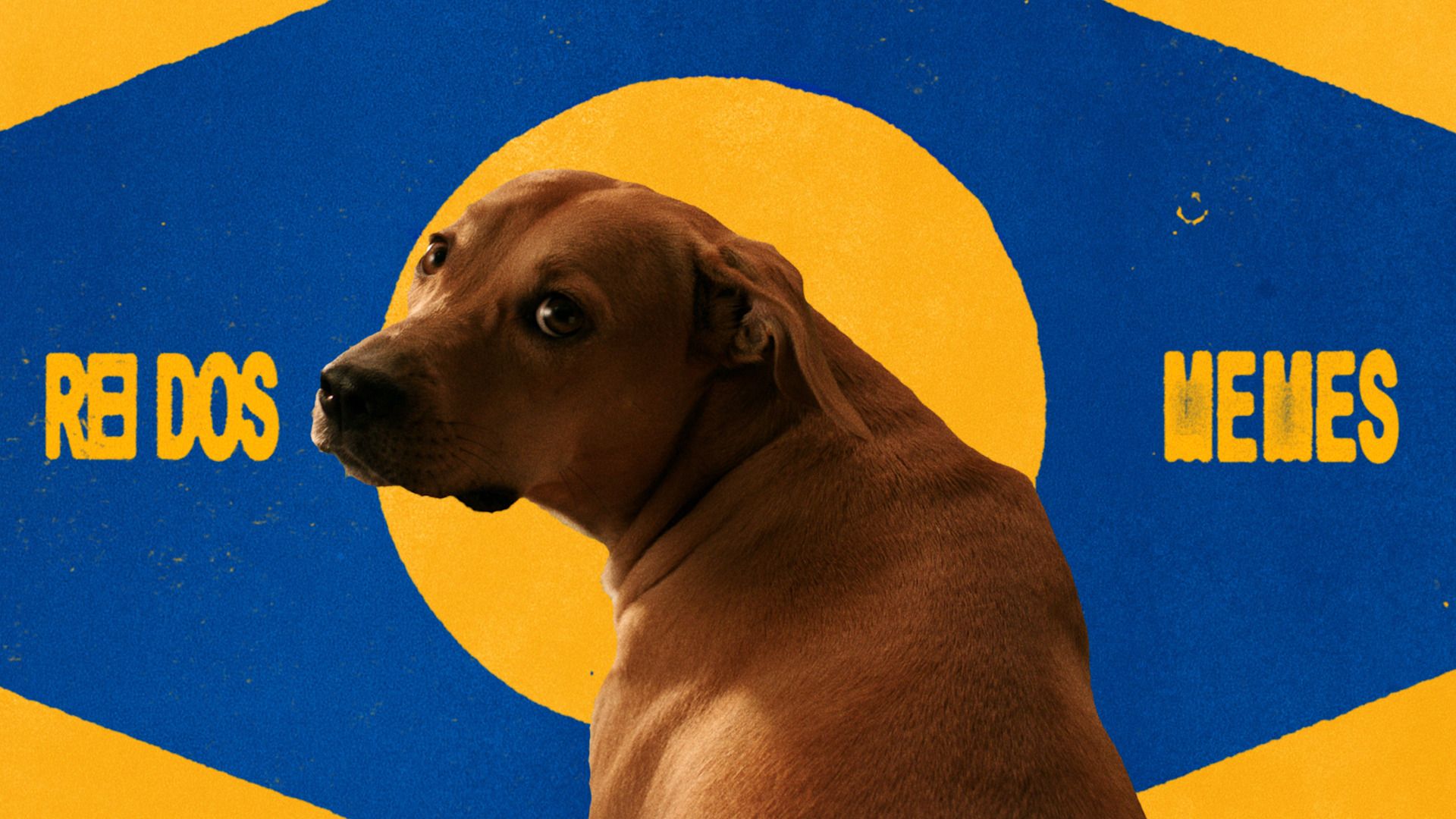 Com ‘Caramelo’, Pedigree e Almap fazem causa social se tornar Campanha do Ano