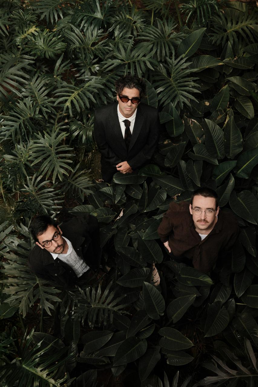 Em parceria com o Landscape, Dear Stranger estreia no mercado