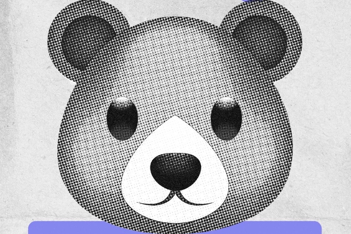 Campanha alerta para uso de emoji de urso em ataques misóginos nas redes