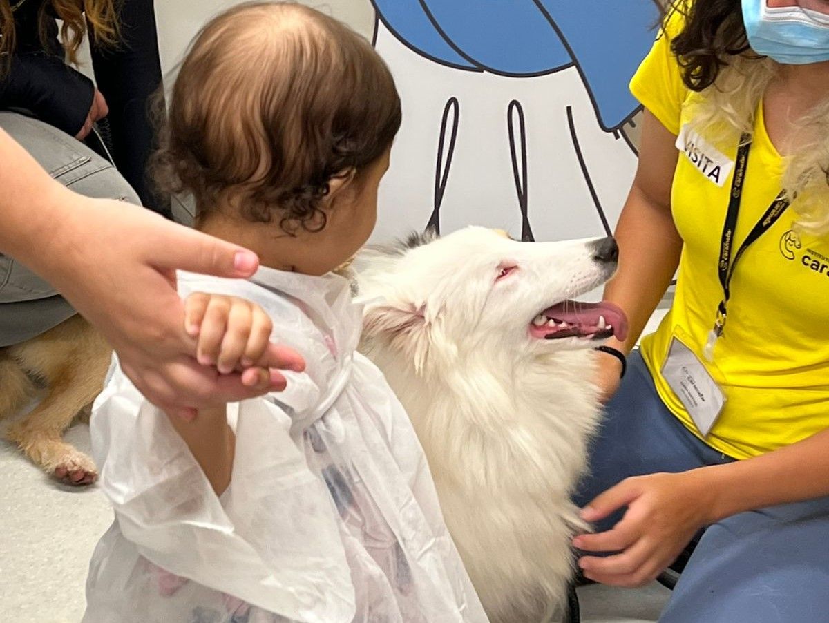 Petlove, Instituto Caramelo e GRAACC transformam cães resgatados em terapeutas para crianças em tratamento oncológico