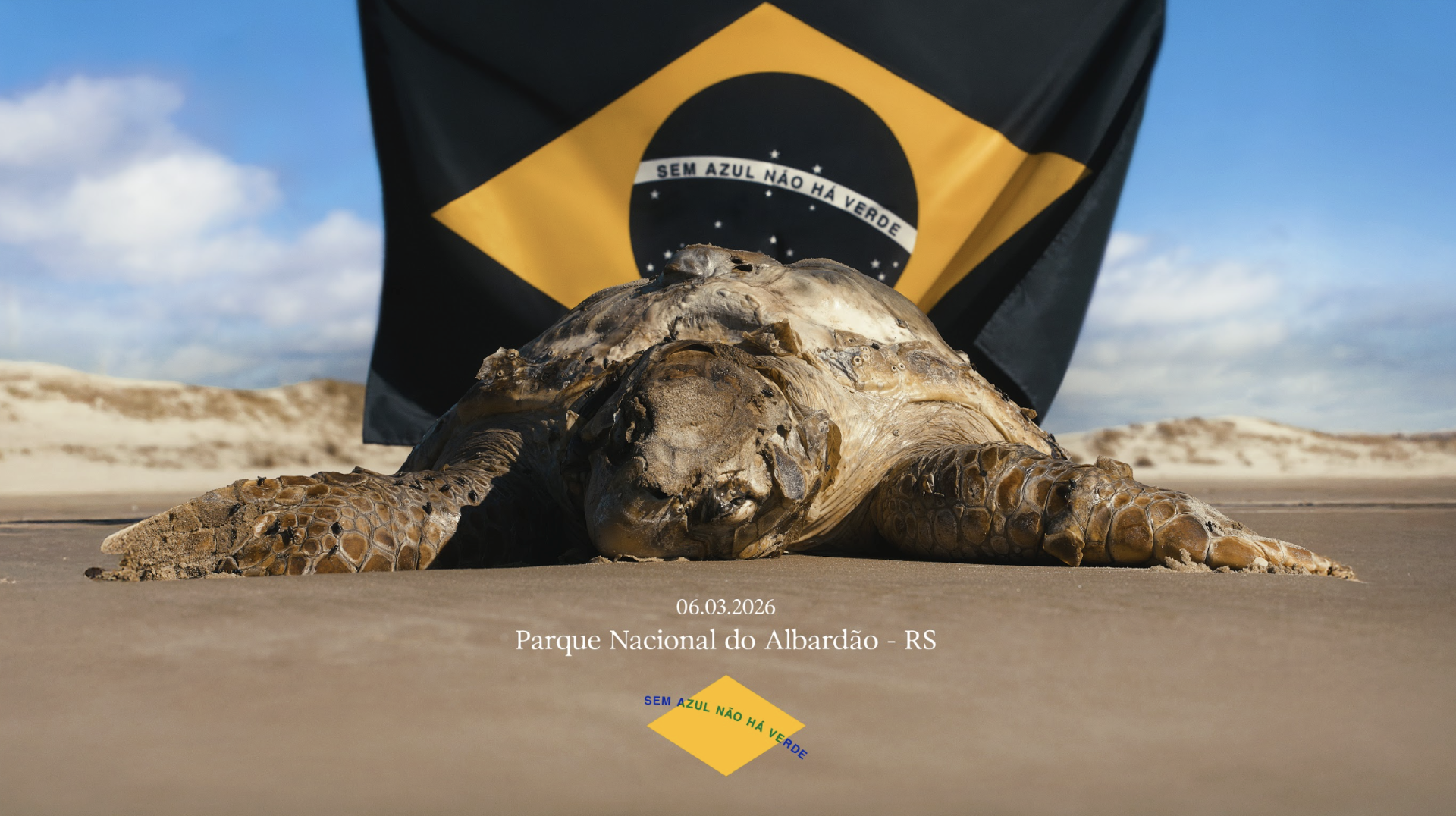 Campanha da Walk contribui para criação do maior parque marinho do Brasil