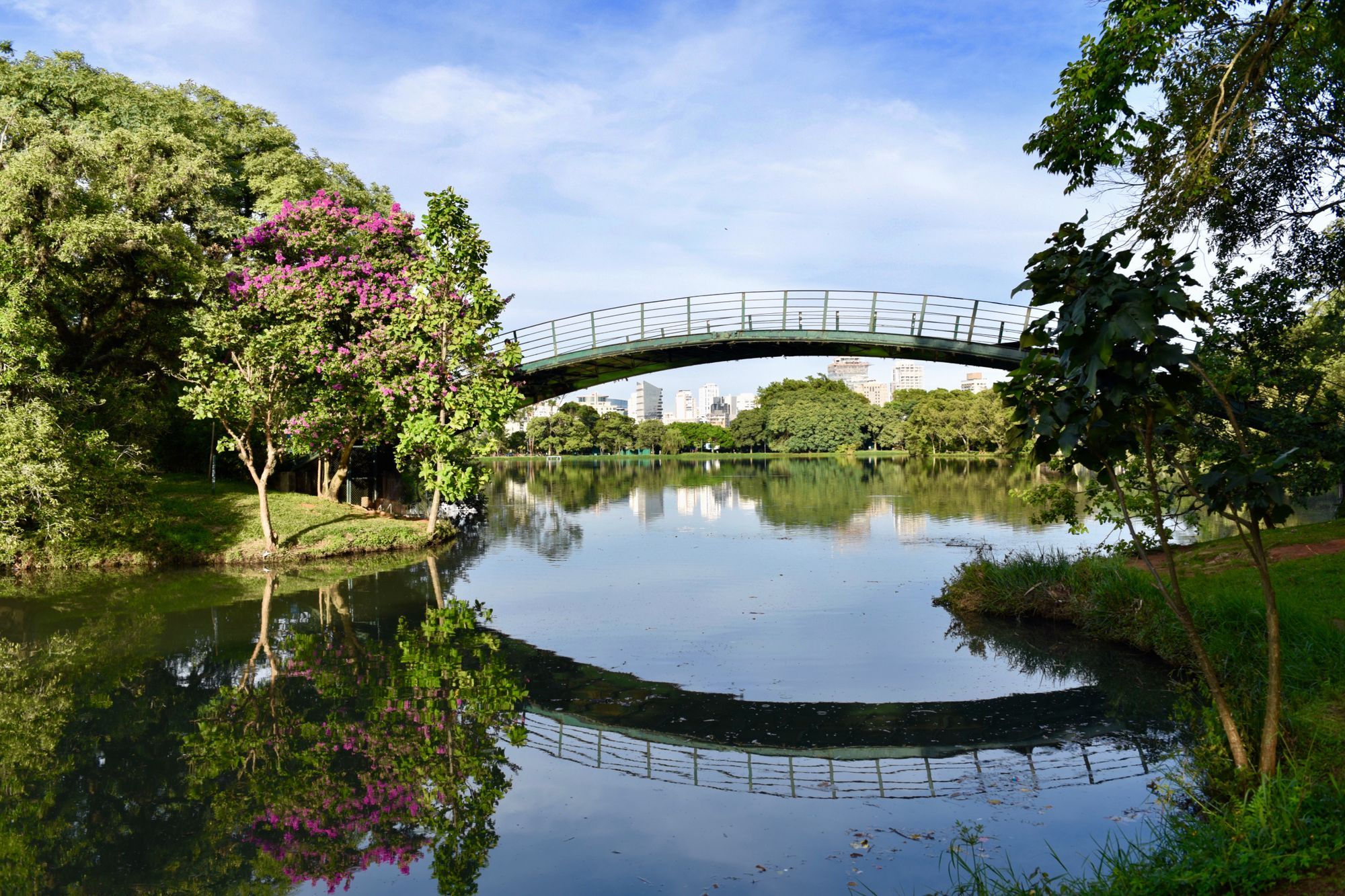 Parque Ibirapuera terá cinco festivais de música e cultura em 2026